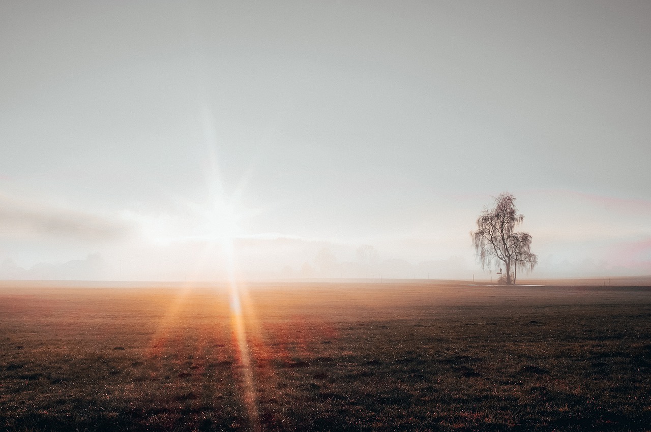 Hallinnan ympyrä auttaa kanavoimaan energiaa