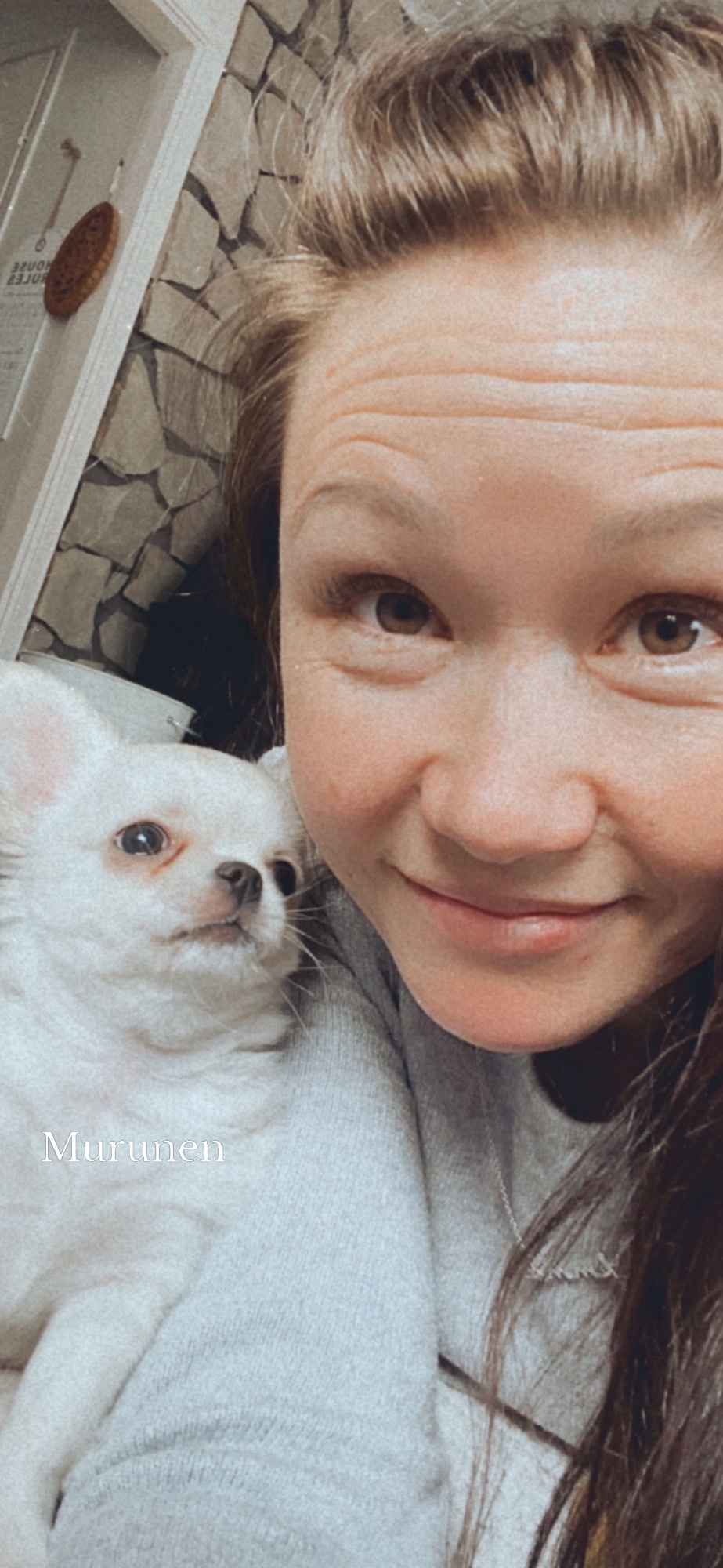 Viime viikkojen hauvavauvakupla